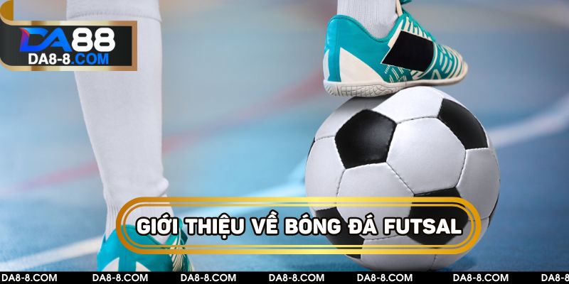 Giới Thiệu đôi nét về bóng đá Futsal