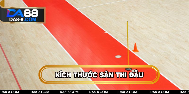 Kích thước sân thi đấu 