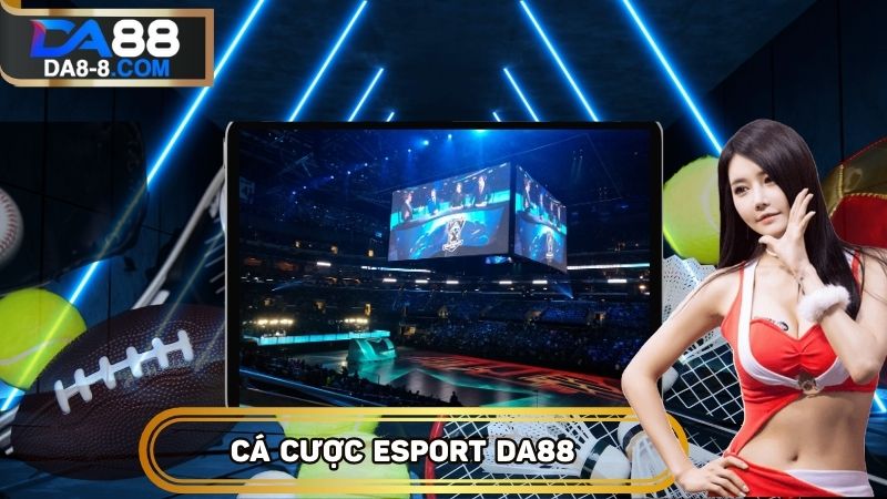 Esport là bộ môn mới nhưng cũng thu hút không kém